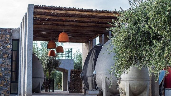 Private Mendoza Day: Casa Vigil El Enemigo Tasting and Lunch at Bodega López (1/11)