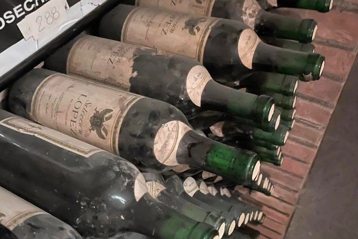 Private Mendoza Day: Casa Vigil El Enemigo Tasting and Lunch at Bodega López (8/11)