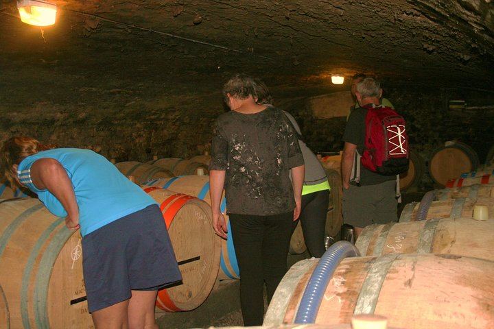 Burgundy Bike and Wine Tour: Downhill from Beaune with a Minivan Transfer and 4 Wines (5/12)