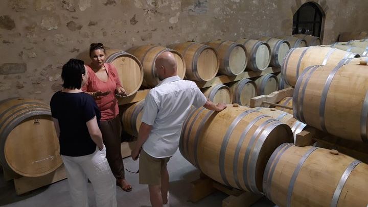 Saint-Émilion Private Sidecar Tour: Vineyards, Pomerol, Grand Cru Classé (3/11)