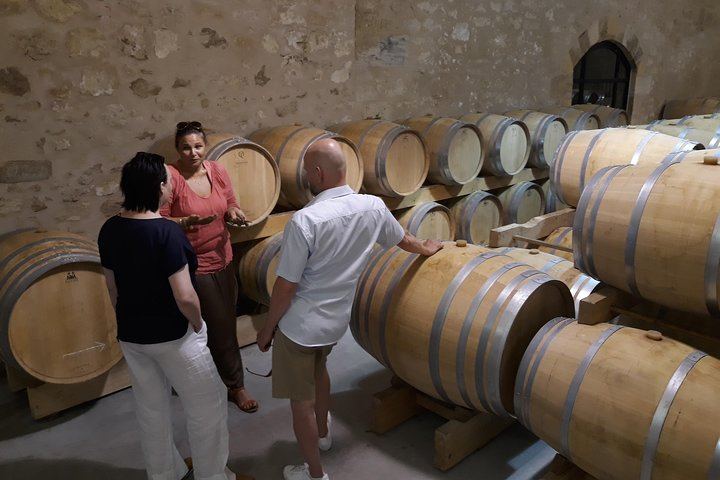 Saint-Émilion Private Sidecar Tour: Vineyards, Pomerol, Grand Cru Classé (3/11)