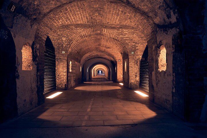 Small-Group Champagne Tour from Paris, Sommelier Guide: Place d'Italie Pickup, 2 Wineries (10/12)