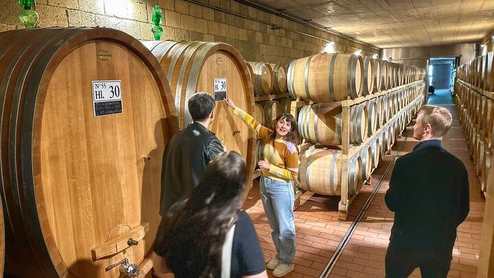 Small Group Chianti Classico Wine Day with a Certified Sommelier and Farm-to-Table Lunch (3/7)