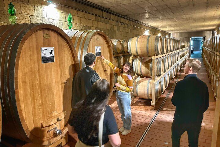 Small Group Chianti Classico Wine Day with a Certified Sommelier and Farm-to-Table Lunch (3/7)