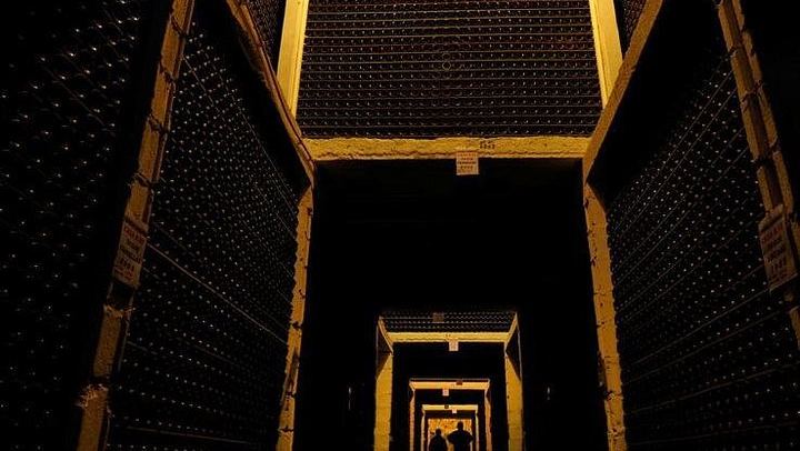 Private VIP Champagne Day from Paris: Eight Tastings, Michelin Lunch, Boutique Estate (4/11)