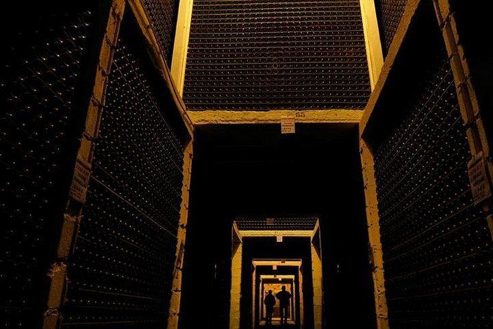 Private VIP Champagne Day from Paris: Eight Tastings, Michelin Lunch, Boutique Estate (4/11)