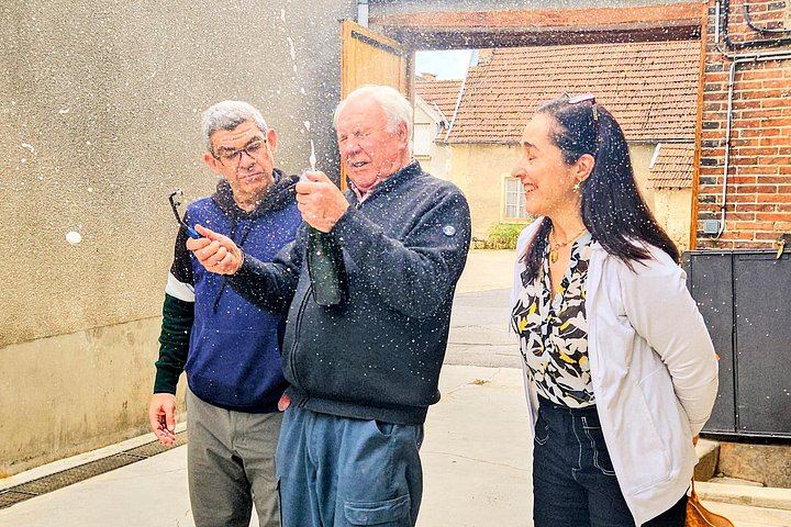 Private Champagne Day in Épernay: Moët & Chandon Cellars, Hautvillers, Boutique Grower (8/12)