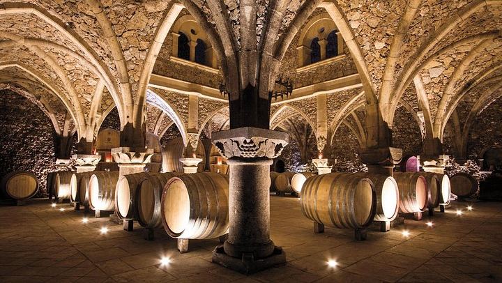 Private Provence Wine Day from Nice: Saint-Martin, Font du Broc and a Third Organic Estate (3/12)