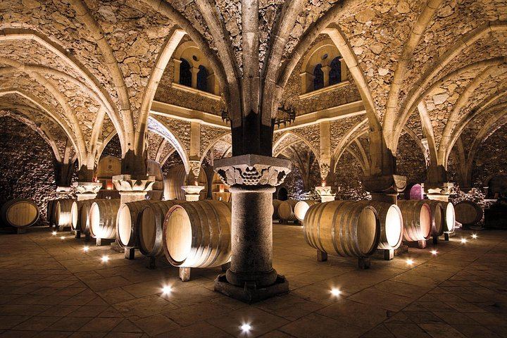 Private Provence Wine Day from Nice: Saint-Martin, Font du Broc and a Third Organic Estate (3/12)