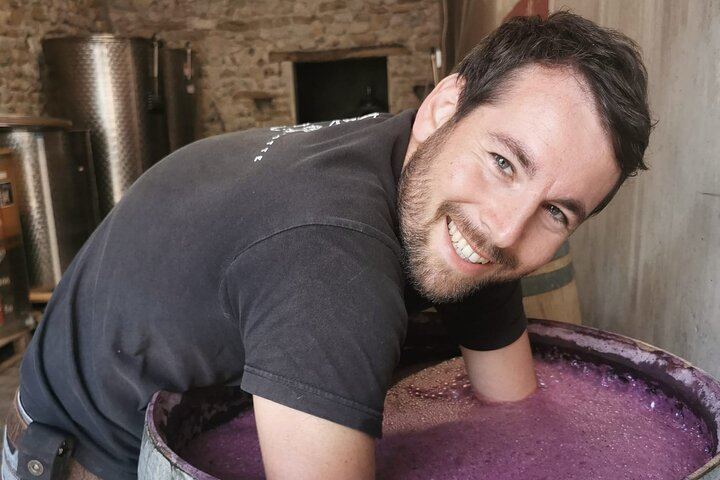 Mas des Escarades Winery Visit and Vineyard Tasting with Panoramic Views, Buisson (2/4)