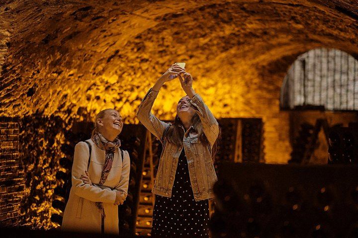 Private Champagne Day in Épernay: Moët & Chandon Cellars, Hautvillers, Boutique Grower (7/12)