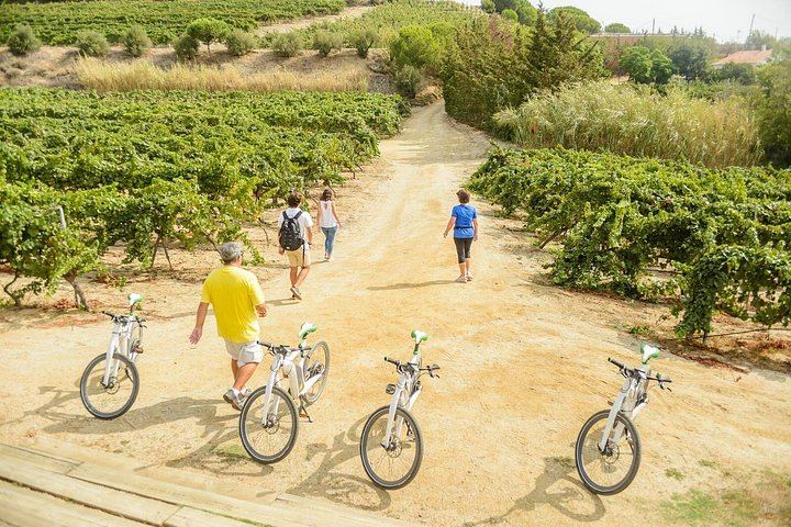 Private Barcelona Coast E-Bike Ride to an Alella Winery, with Wines and Lunch (6/12)
