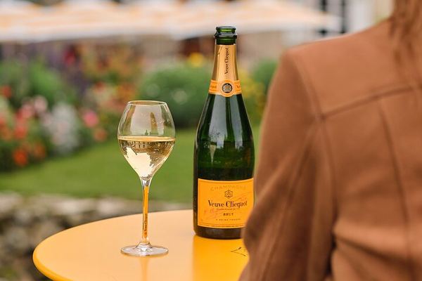 Private Reims Champagne Day: Veuve Clicquot Cellars, Cathedral, Rilly-la-Montagne Grower