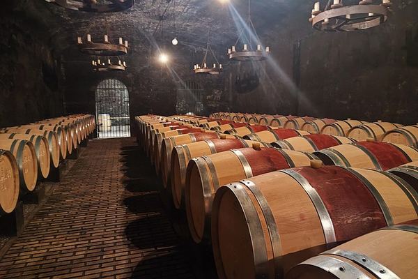 Châteauneuf-du-Pape and Luberon Wine Day Trip from Avignon, Two Tastings and Gordes