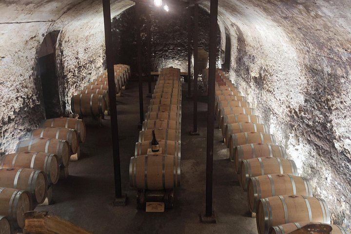 Châteauneuf-du-Pape and Luberon Wine Day Trip from Avignon, Two Tastings and Gordes (5/5)