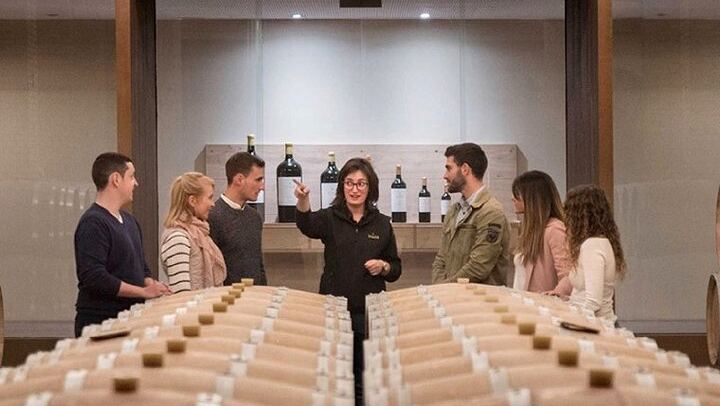 Bodegas Izadi Small-Group Winery Visit with Barrel Room Tasting, Villabuena (2/6)