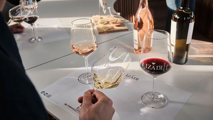 Bodegas Izadi Small-Group Winery Visit with Barrel Room Tasting, Villabuena (4/6)