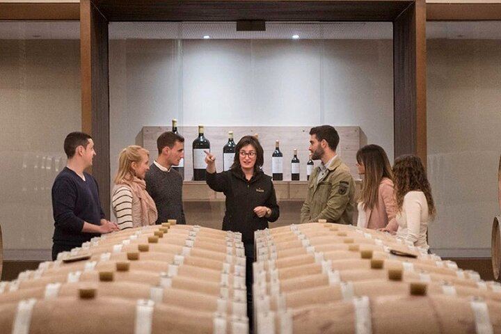 Bodegas Izadi Small-Group Winery Visit with Barrel Room Tasting, Villabuena (2/6)