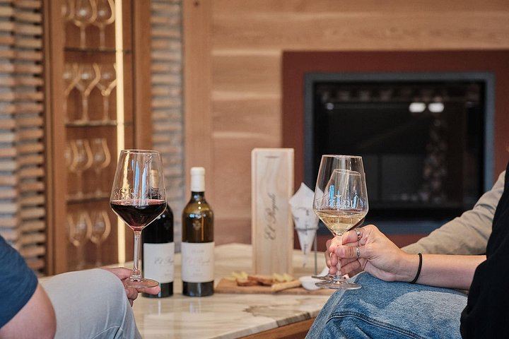 Bodegas Izadi Small-Group Winery Visit with Barrel Room Tasting, Villabuena (3/6)