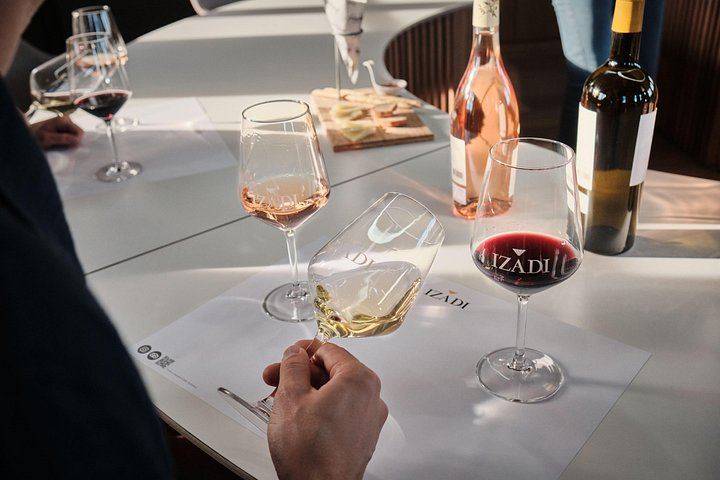 Bodegas Izadi Small-Group Winery Visit with Barrel Room Tasting, Villabuena (4/6)