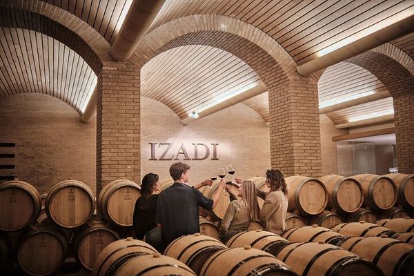 Bodegas Izadi Small-Group Winery Visit with Barrel Room Tasting, Villabuena
