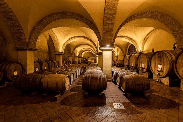 Val d'Orcia Minivan Day Tour from Florence: Montalcino, Pienza Lunch and Montepulciano (6/12)