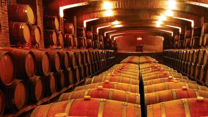 Undurraga Winery Tour by Chilenjoy: Gente de La Tierra Museum and Tasting (2/7)