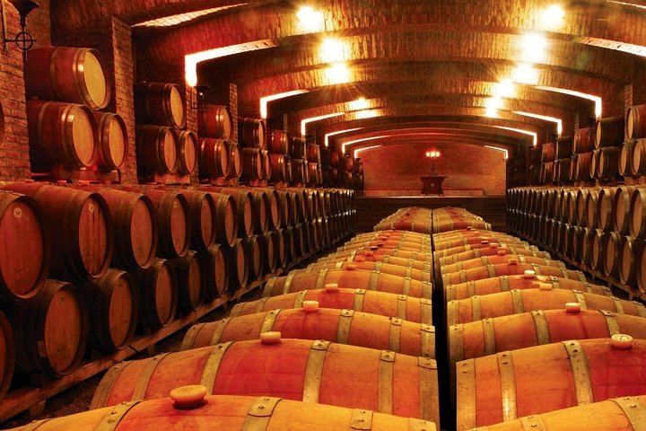 Undurraga Winery Tour by Chilenjoy: Gente de La Tierra Museum and Tasting (2/7)