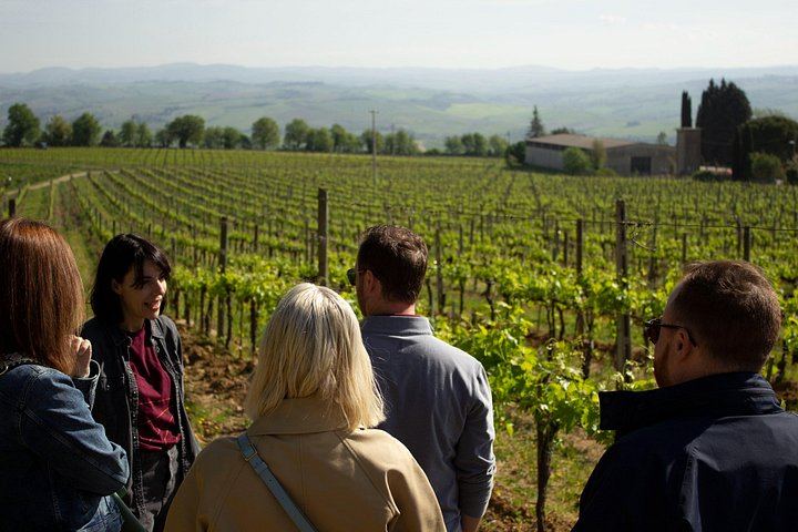 Val d'Orcia Minivan Day Tour from Florence: Montalcino, Pienza Lunch and Montepulciano (9/12)