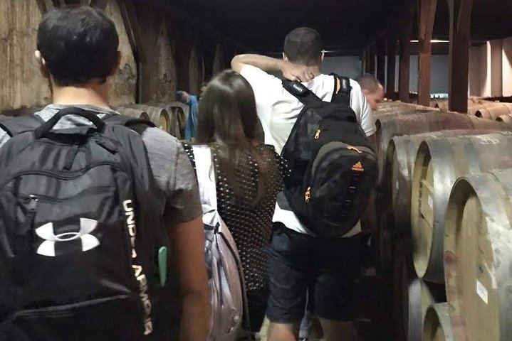 Undurraga Winery Tour by Chilenjoy: Gente de La Tierra Museum and Tasting (5/7)