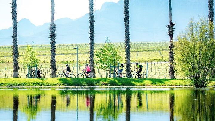 Stellenbosch Half-Day Mountain Bike Winelands Tour with Wine Tasting Stops (4/5)