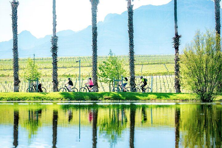 Stellenbosch Half-Day Mountain Bike Winelands Tour with Wine Tasting Stops (4/5)