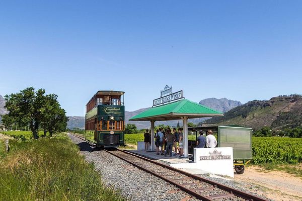 Franschhoek Wine Tram Hop-On Hop-Off Day from Cape Town: Navy Line, Coach Transfer