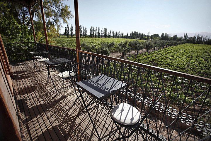 Maipú Private Wine Route: Finca Agostino, Sin Fin and an Olive Oil Boutique (9/12)