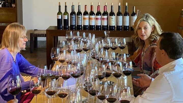 Private Mendoza Day: Finca Decero Tasting and Susana Balbo Lunch at Osadía de Crear (1/12)