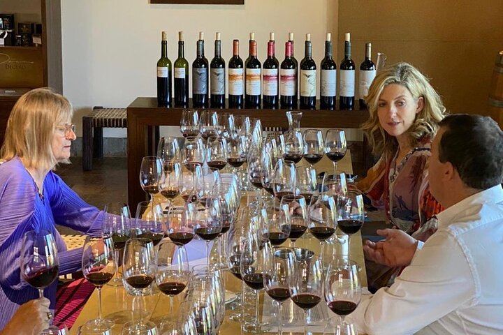 Private Mendoza Day: Finca Decero Tasting and Susana Balbo Lunch at Osadía de Crear (1/12)