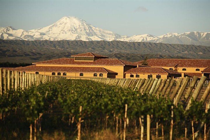 Private Mendoza Day: Finca Decero Tasting and Susana Balbo Lunch at Osadía de Crear (5/12)