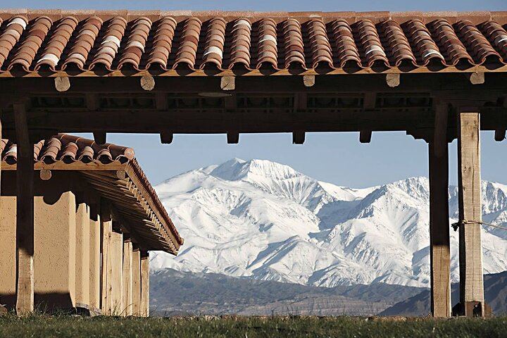 Private Mendoza Day: Finca Decero Tasting and Susana Balbo Lunch at Osadía de Crear (6/12)