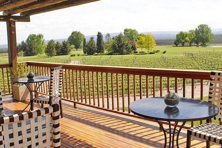 Private Mendoza Day: Finca Decero Tasting and Susana Balbo Lunch at Osadía de Crear (7/12)