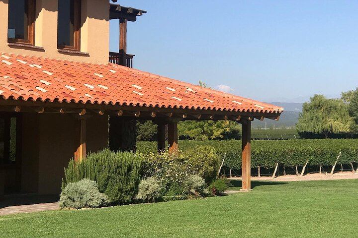 Private Mendoza Day: Finca Decero Tasting and Susana Balbo Lunch at Osadía de Crear (11/12)
