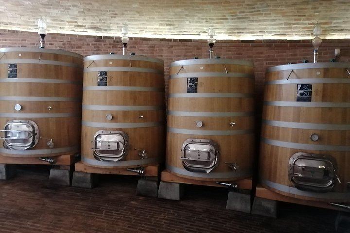 Brunello di Montalcino Day Tour from Siena: Three Wineries, Lunch, Sant'Antimo Abbey (5/6)