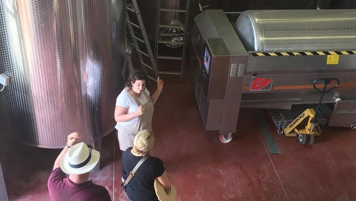 Family Vineyard Visit near San Gimignano with Appetizers and Four Wines (3/5)