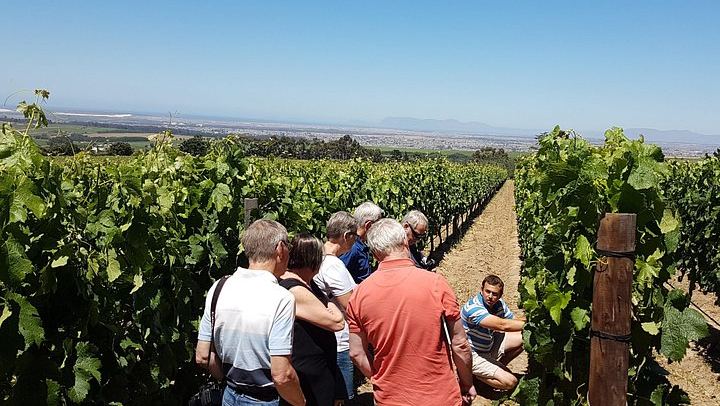 Stellenbosch Valley Private Wine Tour with Jim, a Local Winemaker and Guide (2/8)