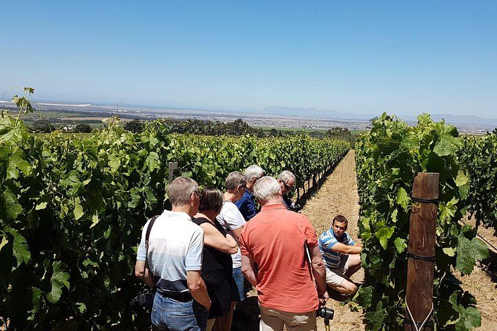 Stellenbosch Valley Private Wine Tour with Jim, a Local Winemaker and Guide (2/8)