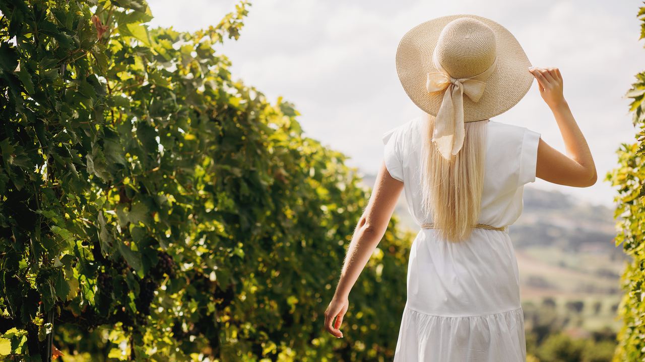 Visitor in a wide-brimmed straw hat and white summer dress seen from behind, walking between sunlit vine rows