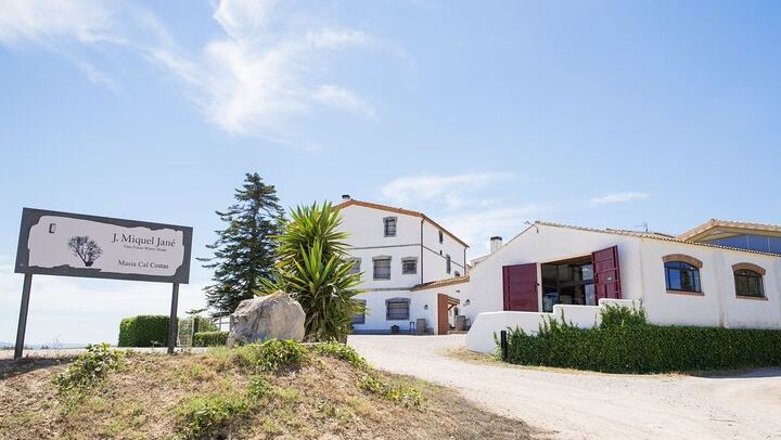 Miquel Jané Family Vineyard in Alt Penedès: 3-Hour Wine Tasting with Cheese and Ham (4/6)