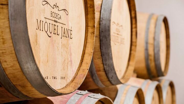 Miquel Jané Family Vineyard in Alt Penedès: 3-Hour Wine Tasting with Cheese and Ham (3/6)
