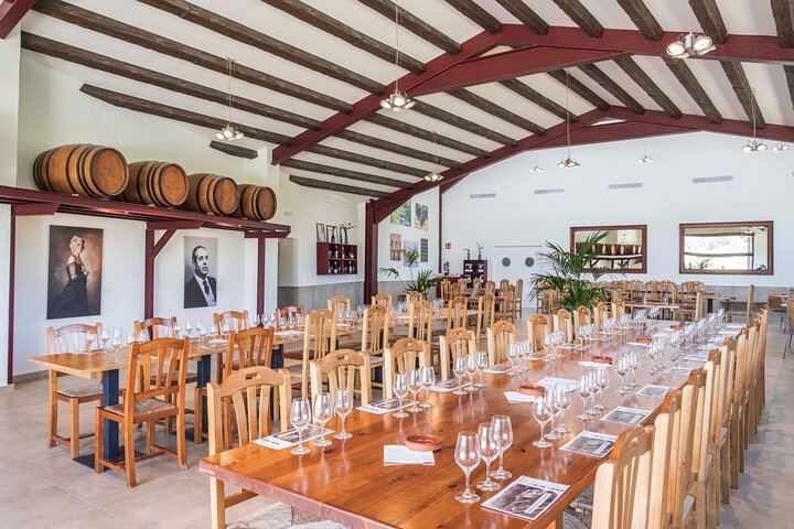 Miquel Jané Family Vineyard in Alt Penedès: 3-Hour Wine Tasting with Cheese and Ham (5/6)
