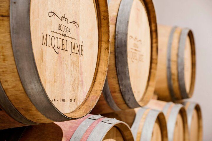 Miquel Jané Family Vineyard in Alt Penedès: 3-Hour Wine Tasting with Cheese and Ham (3/6)