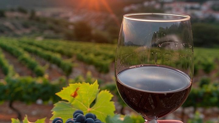 Etna Chauffeur Tour: Farm Tasting, Sapienza Hot Chocolate and Cellar Lunch with 4 Wines (1/12)